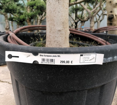 ETIQUETAS PARA JARDINERÍA
