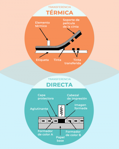 TRANSFERENCIA TÉRMICA VS. TRANSFERENCIA DIRECTA